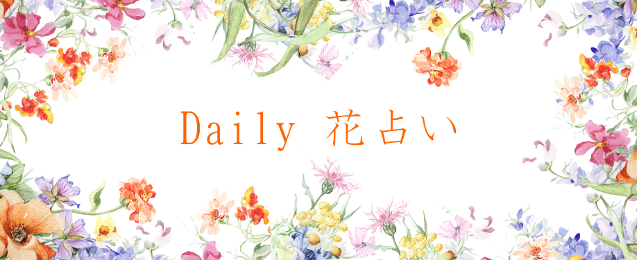 Daily 花占い